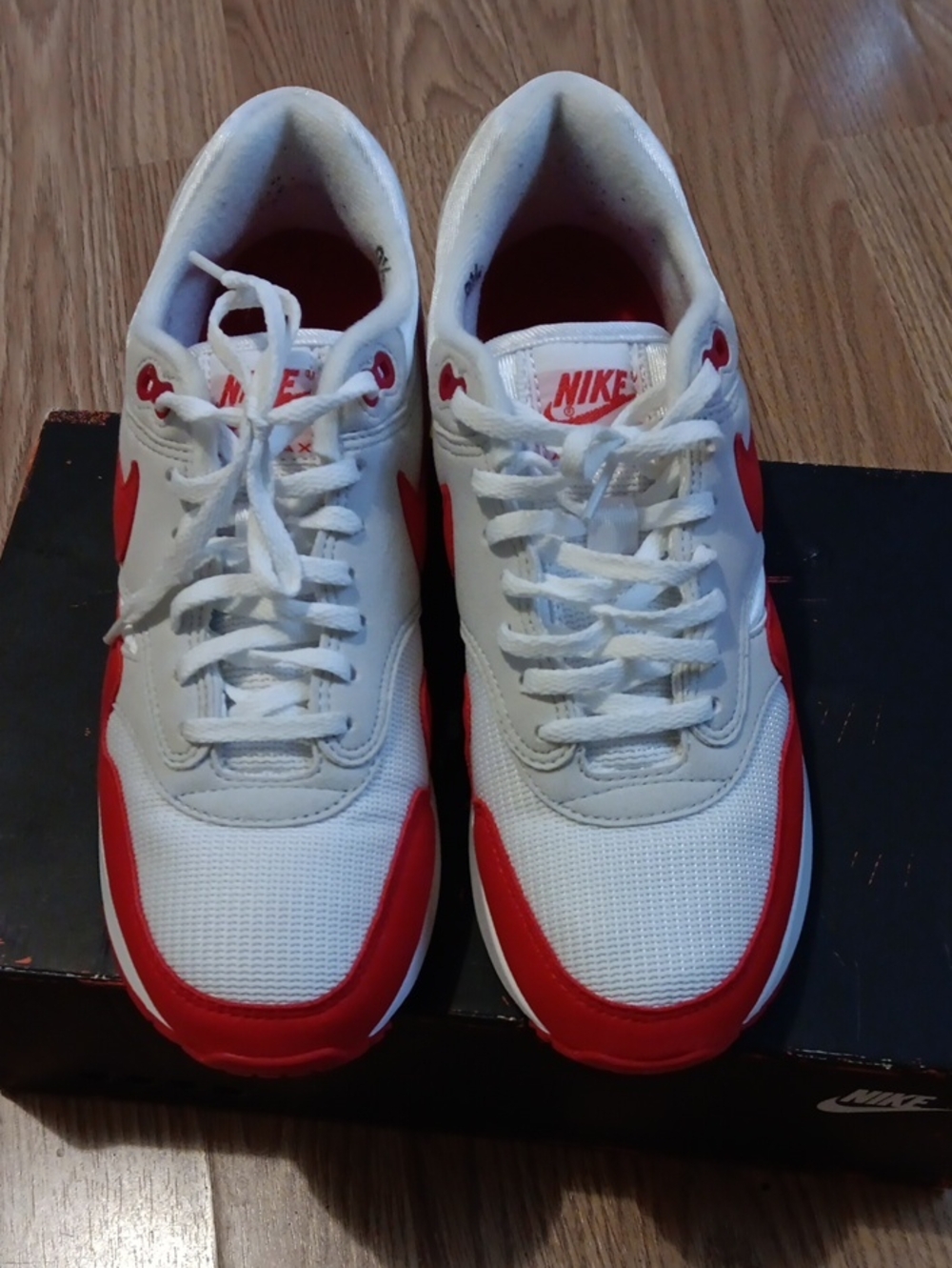 RED NIKE AIR MAX 1
